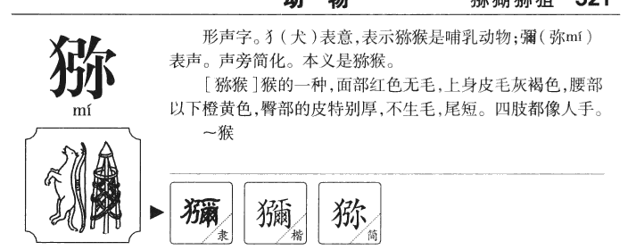 ���������ʲô����ֵĺ�����ʲô�����ȡ����Ԣ�⣨�к���Ů����