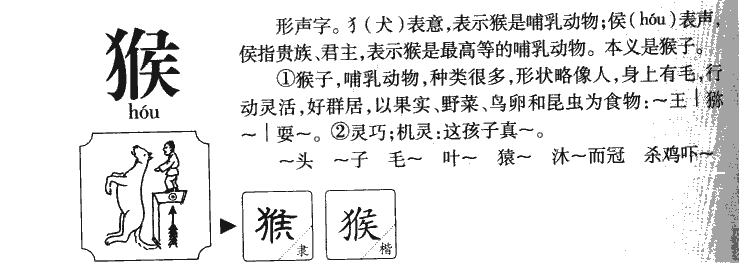 ����������ʲô�����ֵĺ�����ʲô������ȡ����Ԣ�⣨�к���Ů����