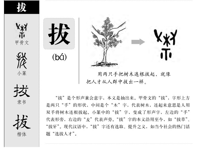 ����������ʲô�����ֵĺ�����ʲô������ȡ����Ԣ�⣨�к���Ů����