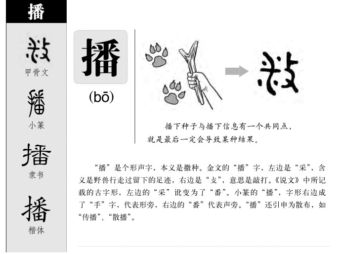 ����������ʲô�����ֵĺ�����ʲô������ȡ����Ԣ�⣨�к���Ů����