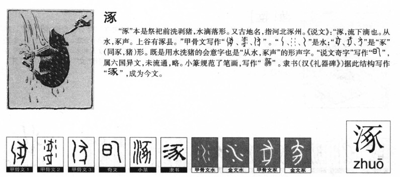 ����������ʲô�����ֵĺ�����ʲô������ȡ����Ԣ�⣨�к���Ů����