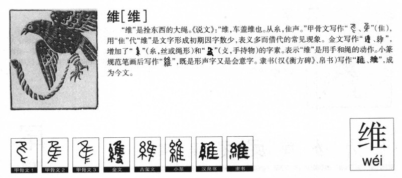 ά��������ʲô��ά�ֵĺ�����ʲô��ά��ȡ����Ԣ�⣨�к���Ů����