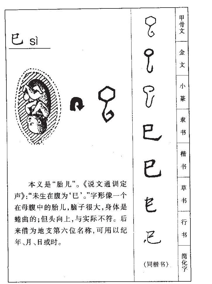 ����������ʲô�����ֵĺ�����ʲô������ȡ����Ԣ�⣨�к���Ů����