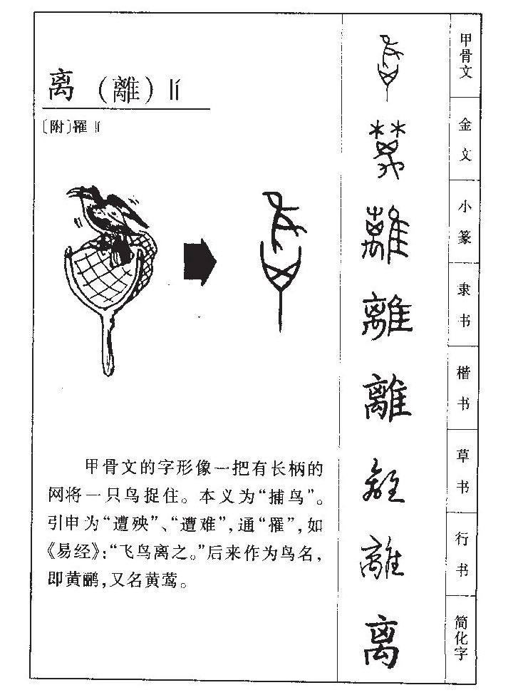 ����������ʲô�����ֵĺ�����ʲô������ȡ����Ԣ�⣨�к���Ů����