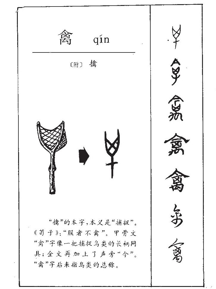 ����������ʲô�����ֵĺ�����ʲô������ȡ����Ԣ�⣨�к���Ů����