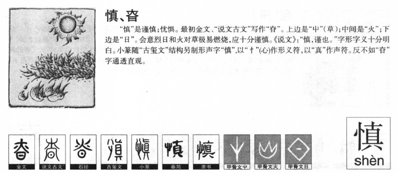 ����������ʲô�����ֵĺ�����ʲô������ȡ����Ԣ�⣨�к���Ů����