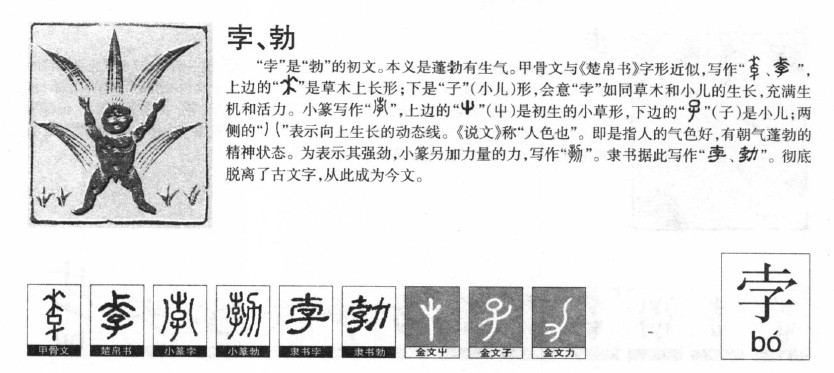 ����������ʲô�����ֵĺ�����ʲô������ȡ����Ԣ�⣨�к���Ů����