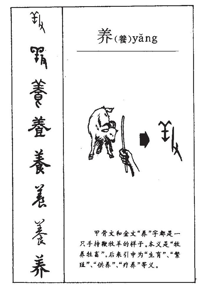 ����������ʲô�����ֵĺ�����ʲô������ȡ����Ԣ�⣨�к���Ů����