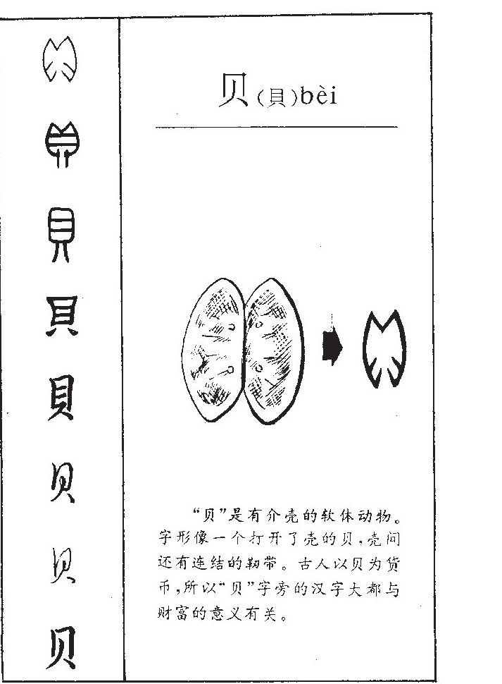 ����������ʲô�����ֵĺ�����ʲô������ȡ����Ԣ�⣨�к���Ů����