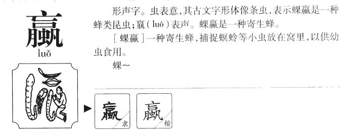 Ӯ��������ʲô��Ӯ�ֵĺ�����ʲô��Ӯ��ȡ����Ԣ�⣨�к���Ů����