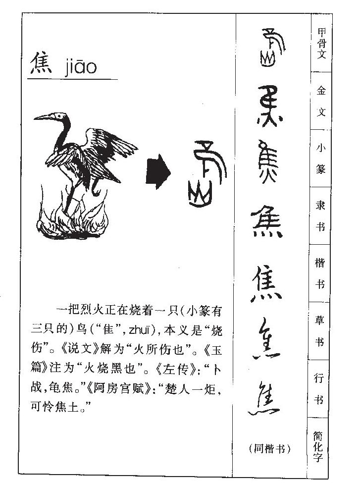 ����������ʲô�����ֵĺ�����ʲô������ȡ����Ԣ�⣨�к���Ů����