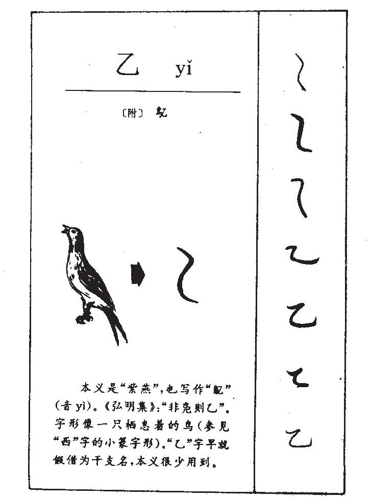 ����������ʲô�����ֵĺ�����ʲô������ȡ����Ԣ�⣨�к���Ů����