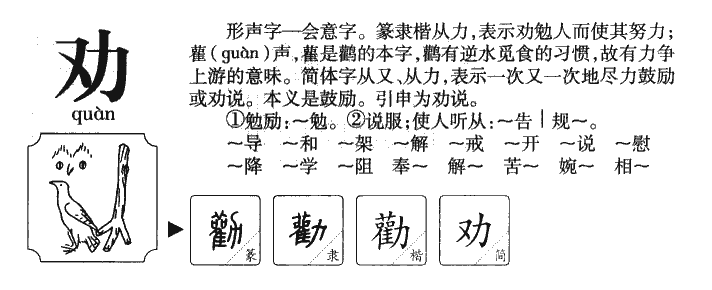 Ȱ��������ʲô��Ȱ�ֵĺ�����ʲô��Ȱ��ȡ����Ԣ�⣨�к���Ů����