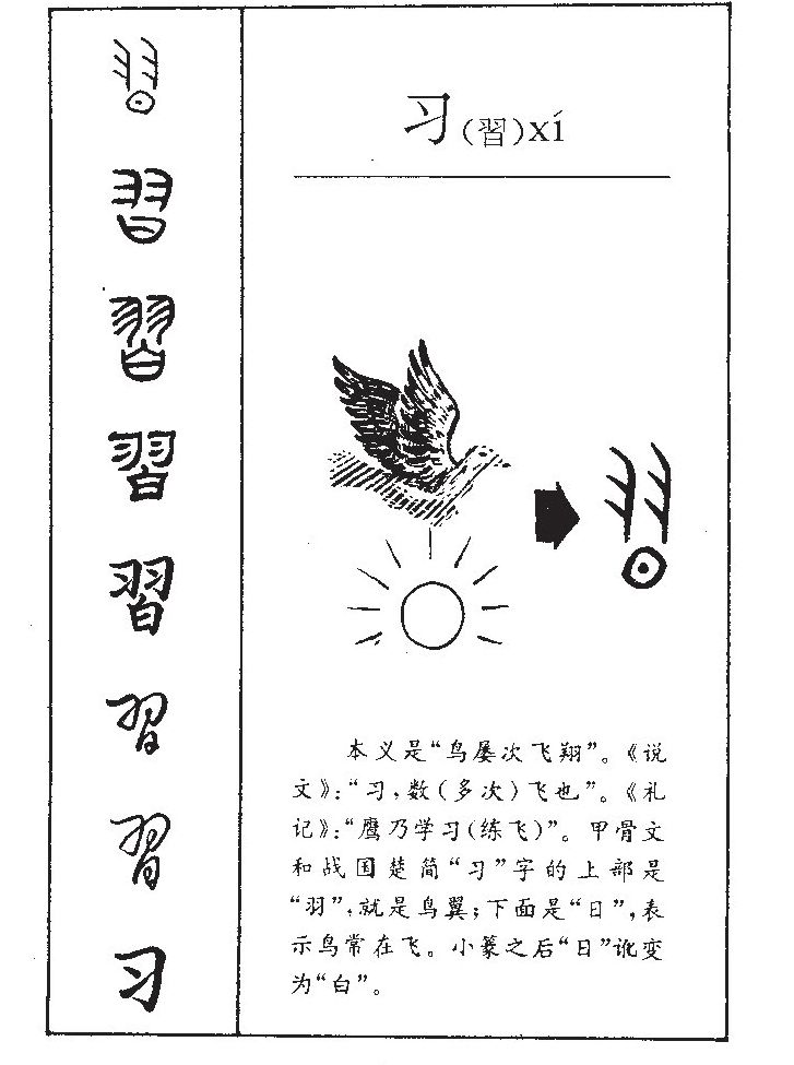 ϰ��������ʲô��ϰ�ֵĺ�����ʲô��ϰ��ȡ����Ԣ�⣨�к���Ů����