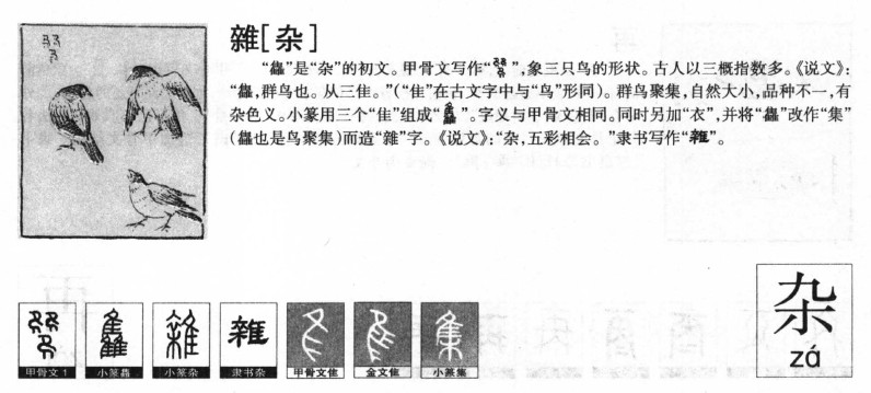 ����������ʲô�����ֵĺ�����ʲô������ȡ����Ԣ�⣨�к���Ů����