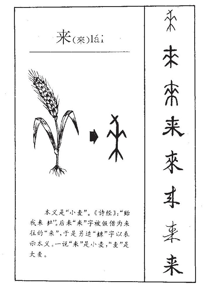 ����������ʲô�����ֵĺ�����ʲô������ȡ����Ԣ�⣨�к���Ů����