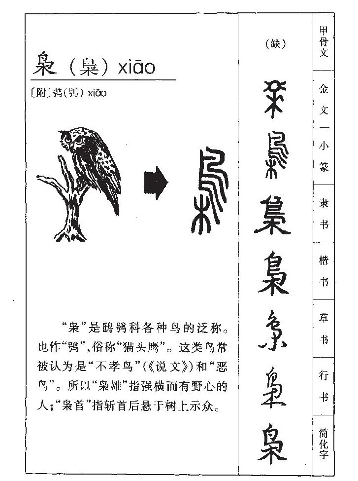 ����������ʲô�����ֵĺ�����ʲô������ȡ����Ԣ�⣨�к���Ů����