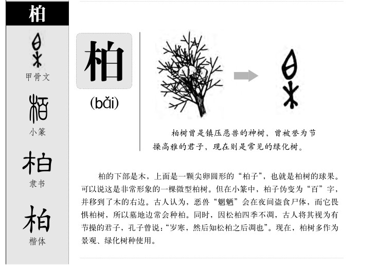 ����������ʲô�����ֵĺ�����ʲô������ȡ����Ԣ�⣨�к���Ů����