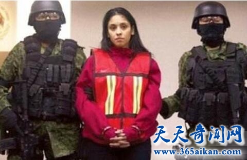 ����ʮ�������������Ķ�������֮�߲�������