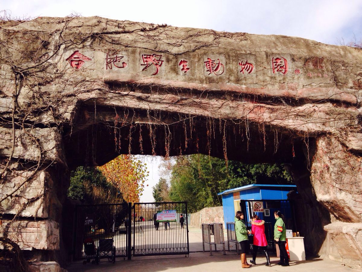 网红城市合肥十大必去景点，山清水秀现代乐园应有尽有