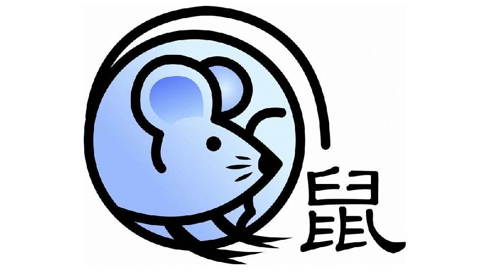 ����Ů����ȡʲô���ֺ� Ů�󱦱�ȡ���������