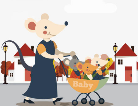 ������ȡ��2020������ִ�ȫ��ѣ�2020�󱦱�ȡ�������ִ�ȫ