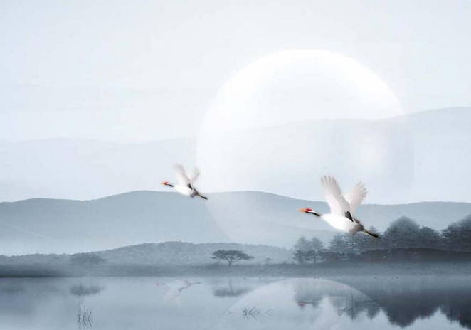 �������к�Ů�����ֿ� �к�Ů�������������Ƽ�