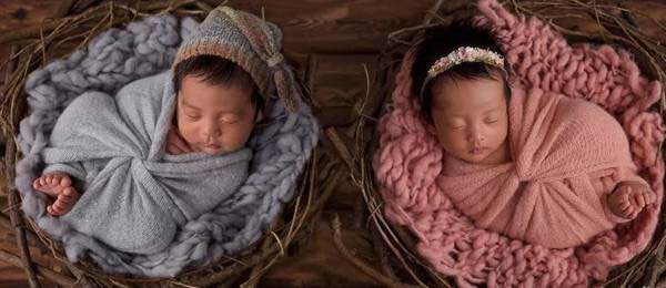  2020����̥���ֹŷ���� һ��һŮ��Ԣ�������