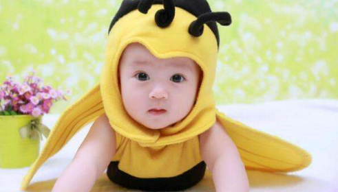 �������ȡ������վרҵ��������Щ