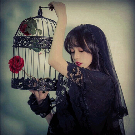 ڰϵ䣬ɥ˺µظ