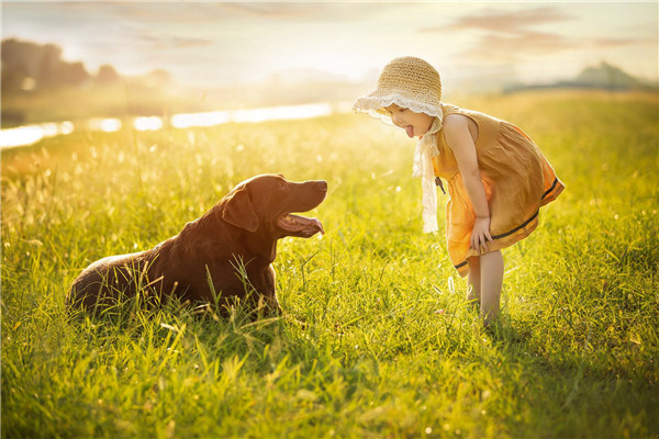 ������ȡ�������ֺͽ�����ʲô