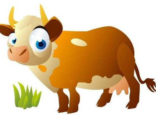 ţ����ȡ����ȫ��������Щ��ע��ʲô ��ţ������������ʲô��