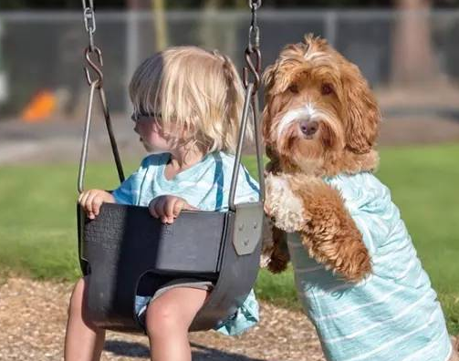 ���غ���ϡ�ٵ������к�����