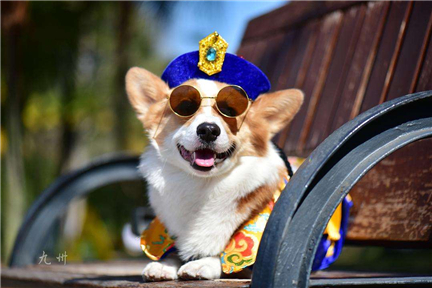 �����ֵĳ������� ���ȸ�Ц�ĳ�������