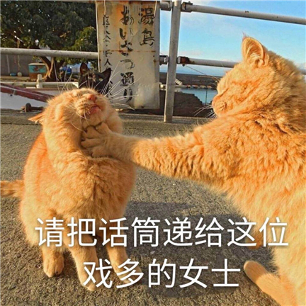 �ǳ���Ĭ��Ц��Ȥ��΢���ǳƺ�����