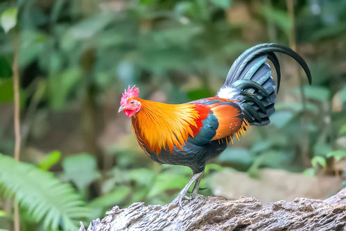 ����ȡʲô���ֺã��ʺ�����ȡ�����������