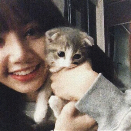 ���������ر��Ů��΢������