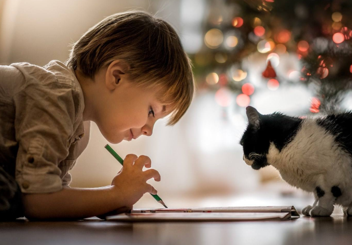 �󱦱����ֿ����ִ�ȫ