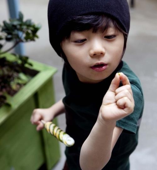 �к����Ľ�ʲô���ֺ���������ȡ���ִ�ȫ�к�