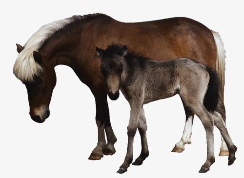 ����Ů��ȡ��������������