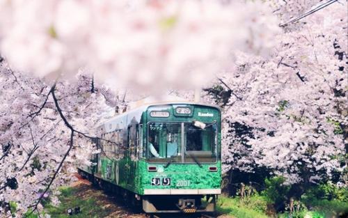 �ʺ��б��������ĵ�������Щ