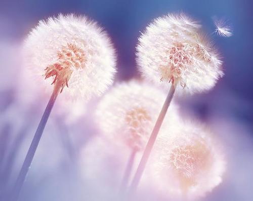 ���ļ��������΢������ȫ��Ѻ������ر�