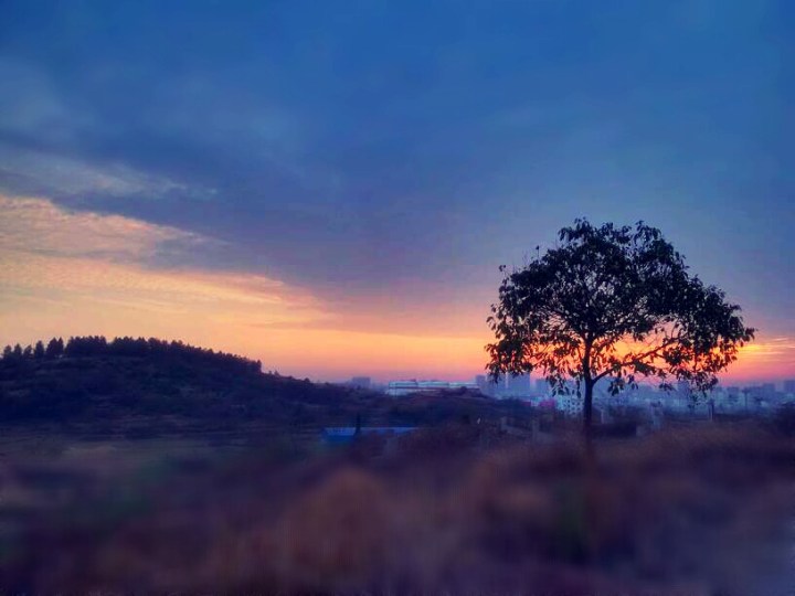 �����б������Ԣ�������