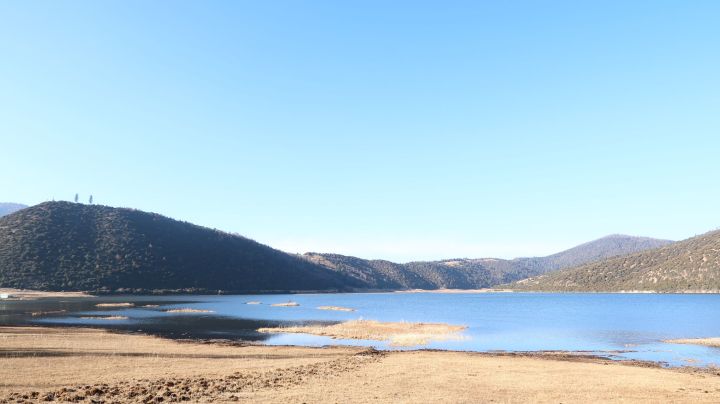 �б�����ȡʲô���ֺ��أ����ŵ��к�����Ҫ����