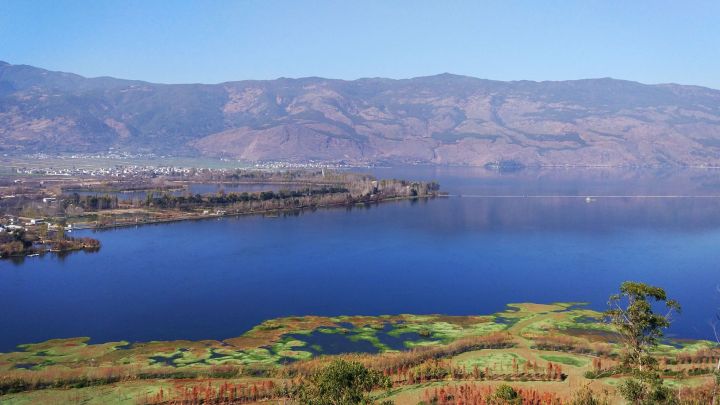 ����ϡ����Ԣ����к����֣��к���ӱ�к���������