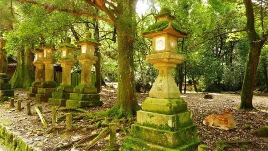 ʫ��ʲô�����Ů������?��ʫ�ֿ�ͷʫ������ Ů����ʫ�ִ�����