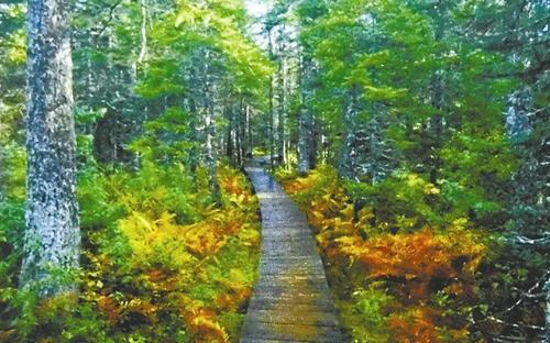 ʫ��ʲô�����Ů������?��ʫ�ֿ�ͷʫ������ Ů����ʫ�ִ�����