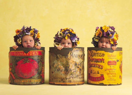 Ҷ�������б���100��ȡ����ȫ ��Ҷ�����к�������������