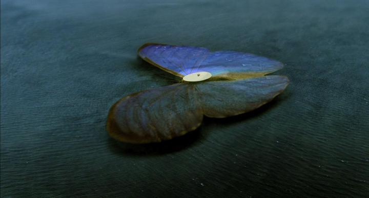 �в��ּ����Ĵ������˵ĳ�������