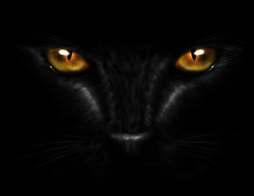 �����к�����˳�������ִ�ȫ